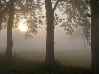 Nebelmorgen (c) Erich Westendarp  / pixelio.de